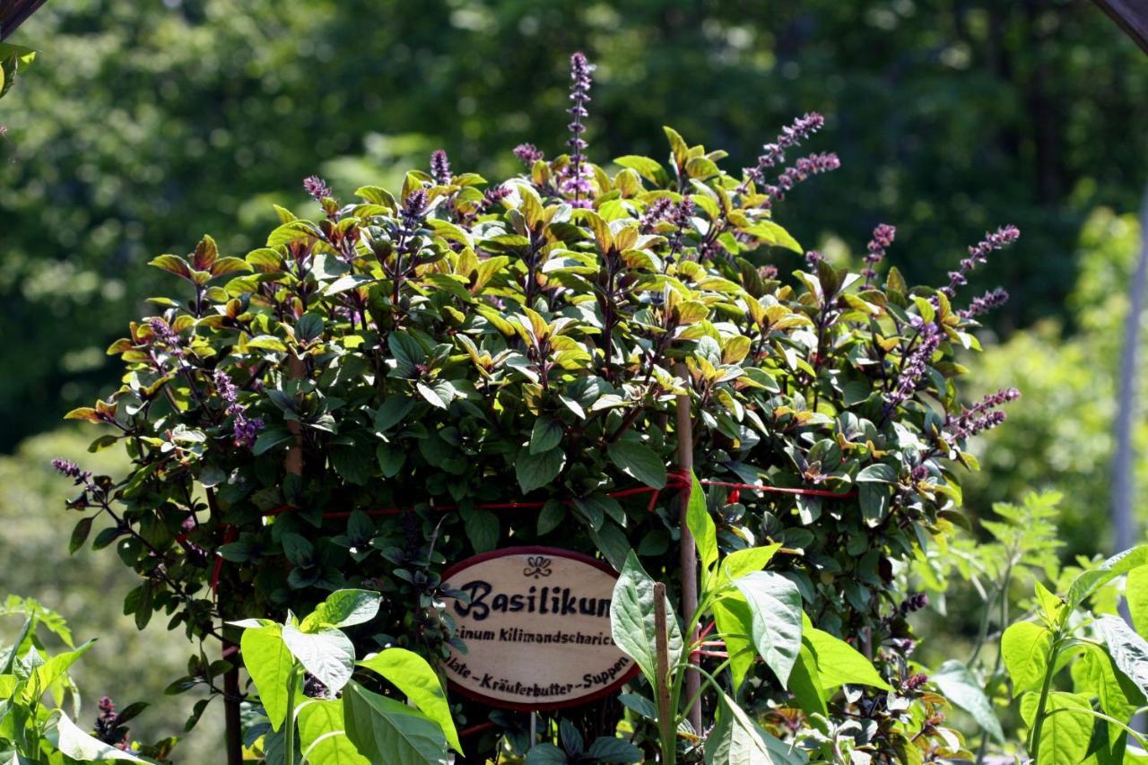 Der Baeren In Zell Hotel Eisenberg  Buitenkant foto